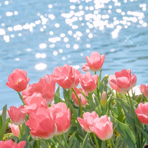 欧美18Vⅰdeos初次摘花
